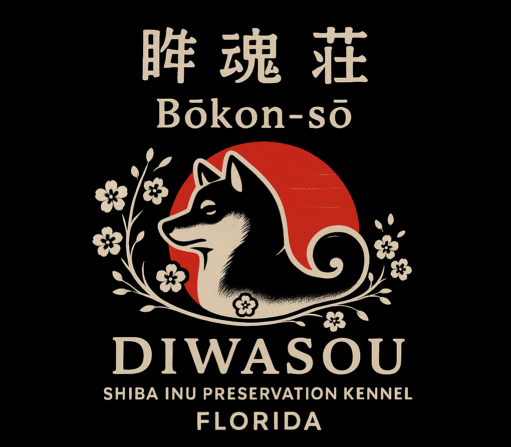 Diwa Shiba Inu Sou
